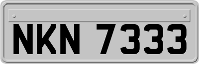 NKN7333
