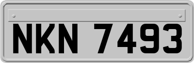 NKN7493
