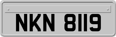 NKN8119