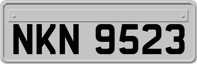 NKN9523