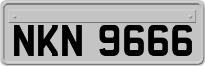 NKN9666