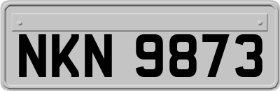 NKN9873