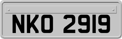 NKO2919