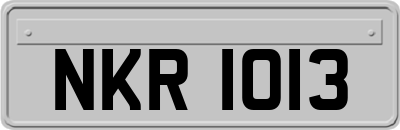 NKR1013