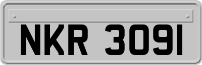 NKR3091