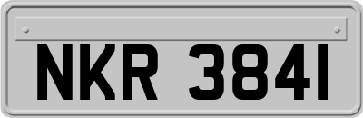 NKR3841