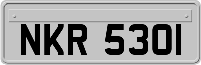 NKR5301