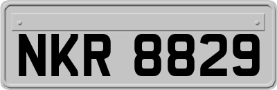 NKR8829