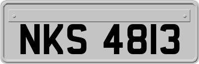 NKS4813