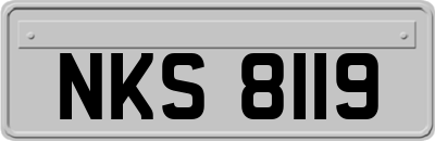 NKS8119