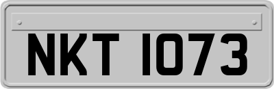 NKT1073