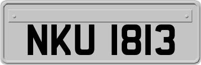 NKU1813