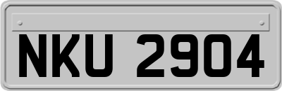 NKU2904