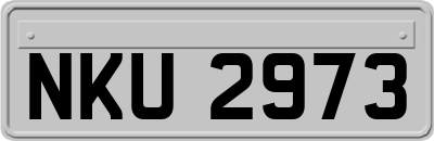 NKU2973