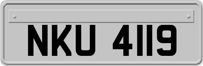 NKU4119