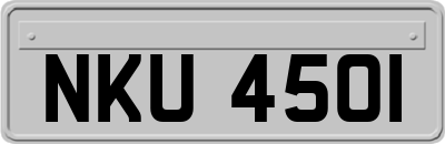 NKU4501