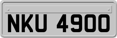 NKU4900