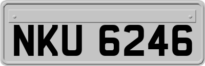 NKU6246