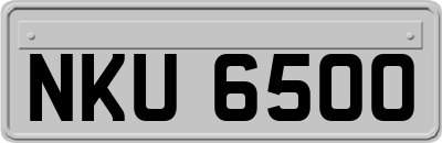 NKU6500