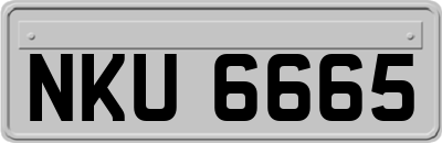 NKU6665
