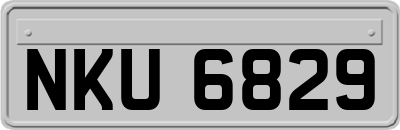 NKU6829