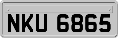 NKU6865
