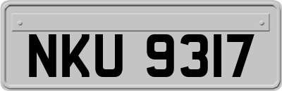 NKU9317
