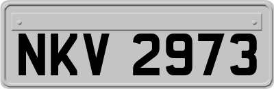 NKV2973