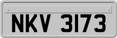NKV3173