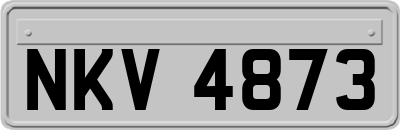 NKV4873