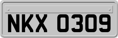 NKX0309