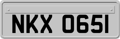 NKX0651
