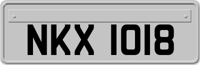 NKX1018