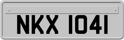 NKX1041