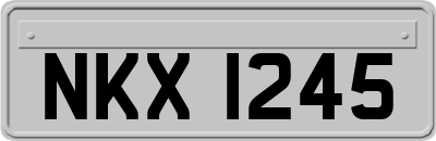 NKX1245