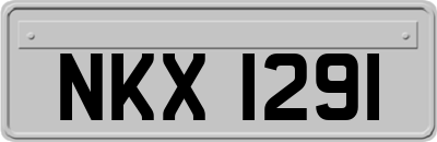 NKX1291