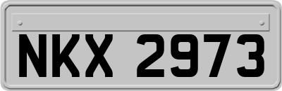 NKX2973