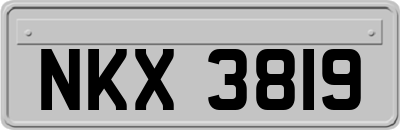 NKX3819