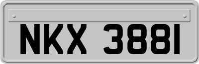 NKX3881