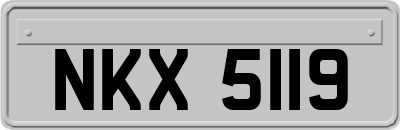 NKX5119