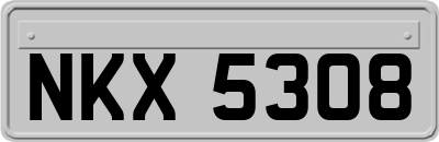NKX5308