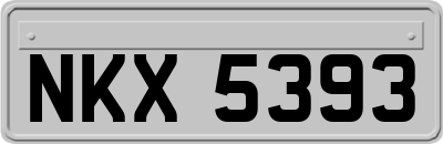 NKX5393