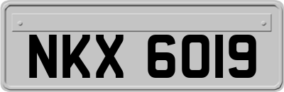 NKX6019