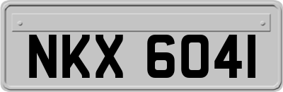 NKX6041