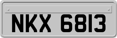 NKX6813