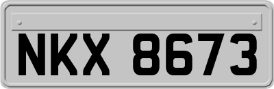 NKX8673