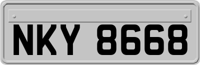 NKY8668