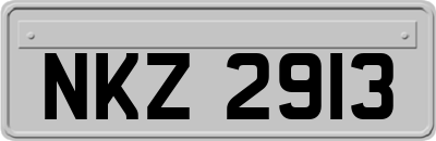 NKZ2913