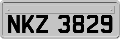 NKZ3829