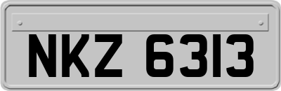 NKZ6313